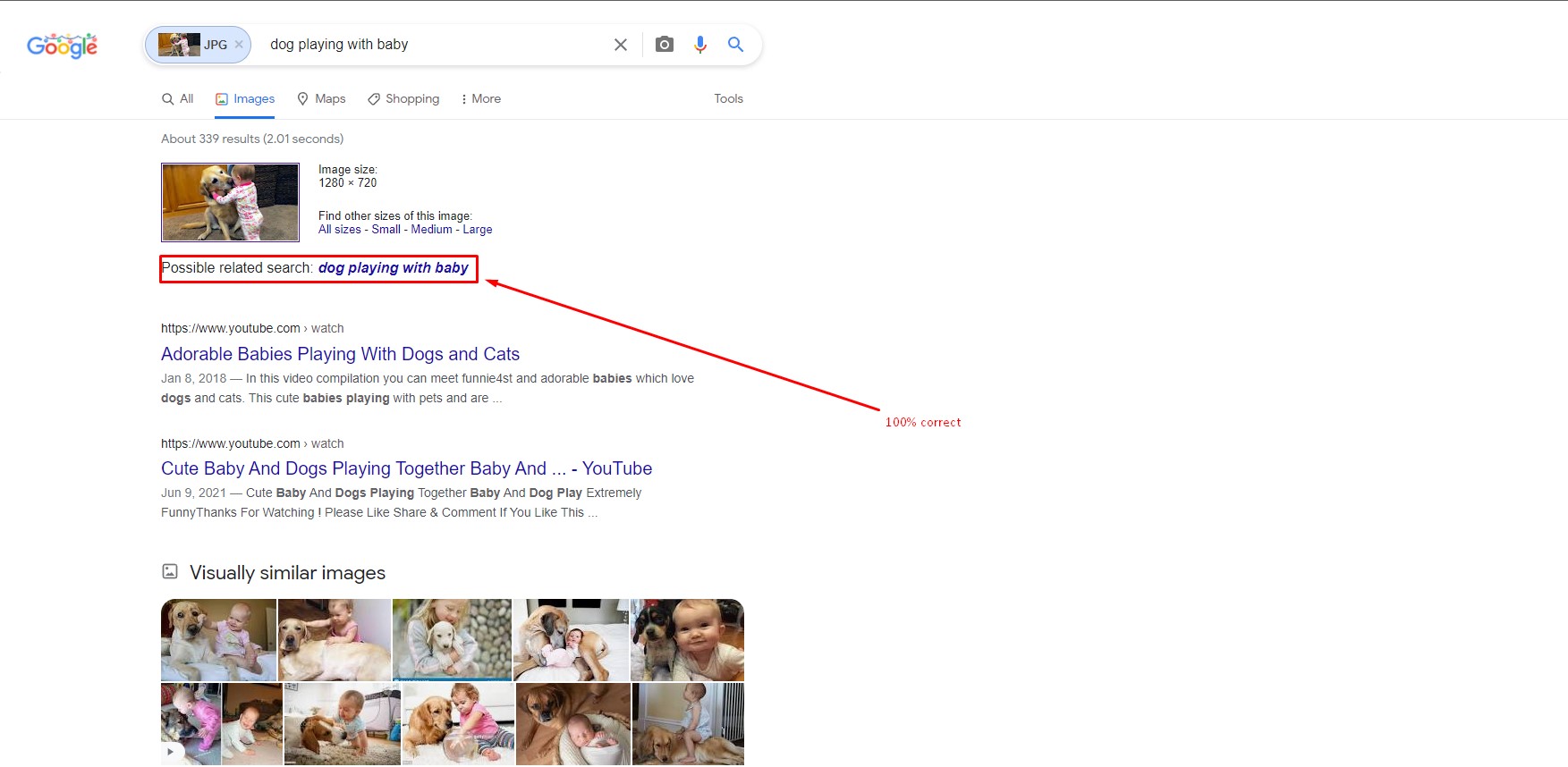 Google accurately identifies an object Google accurately identifies an object