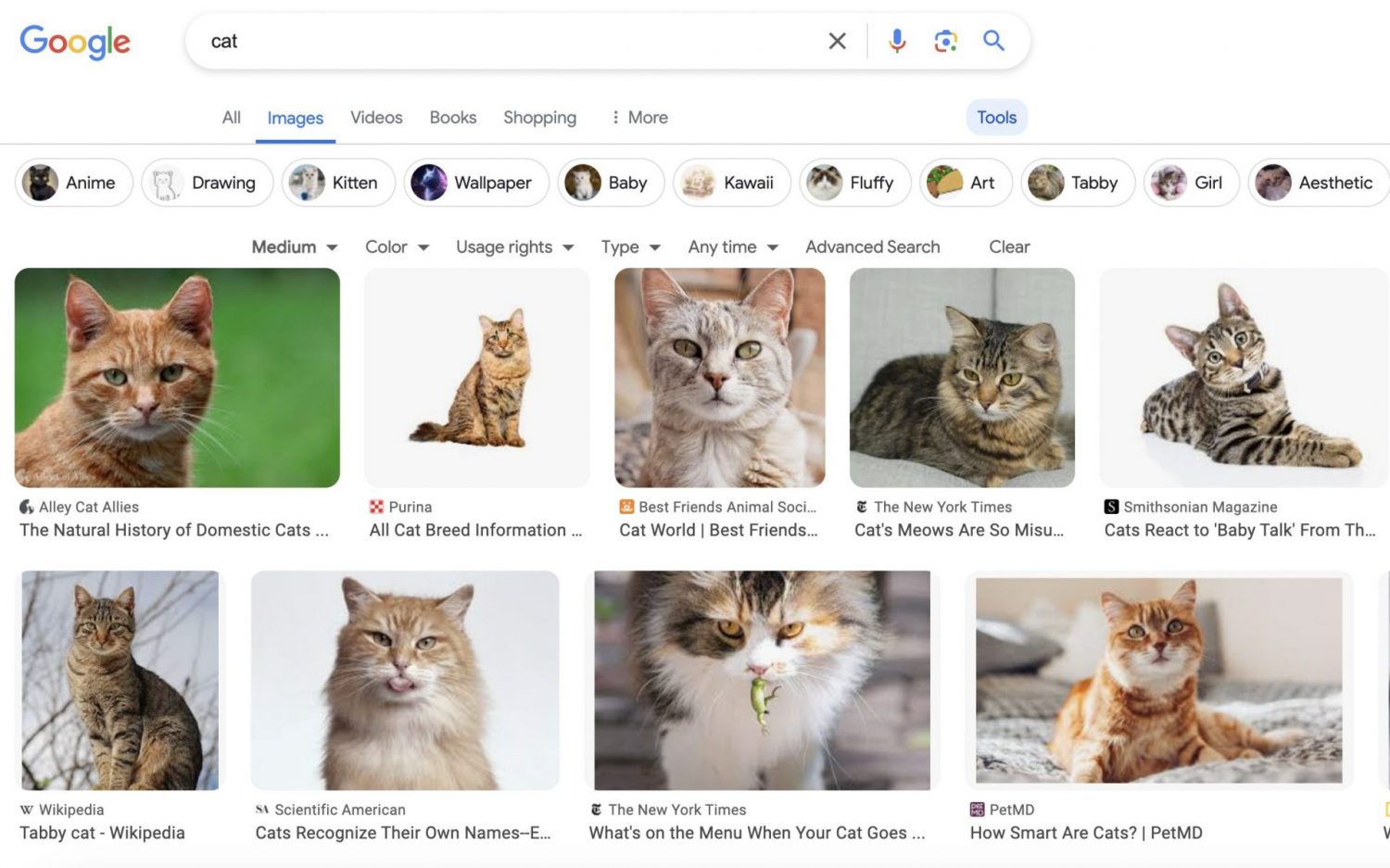 Google Search Engine Parameters and How to Use Them 2 Знімок екрана 2024 04 19 о 18.47.09