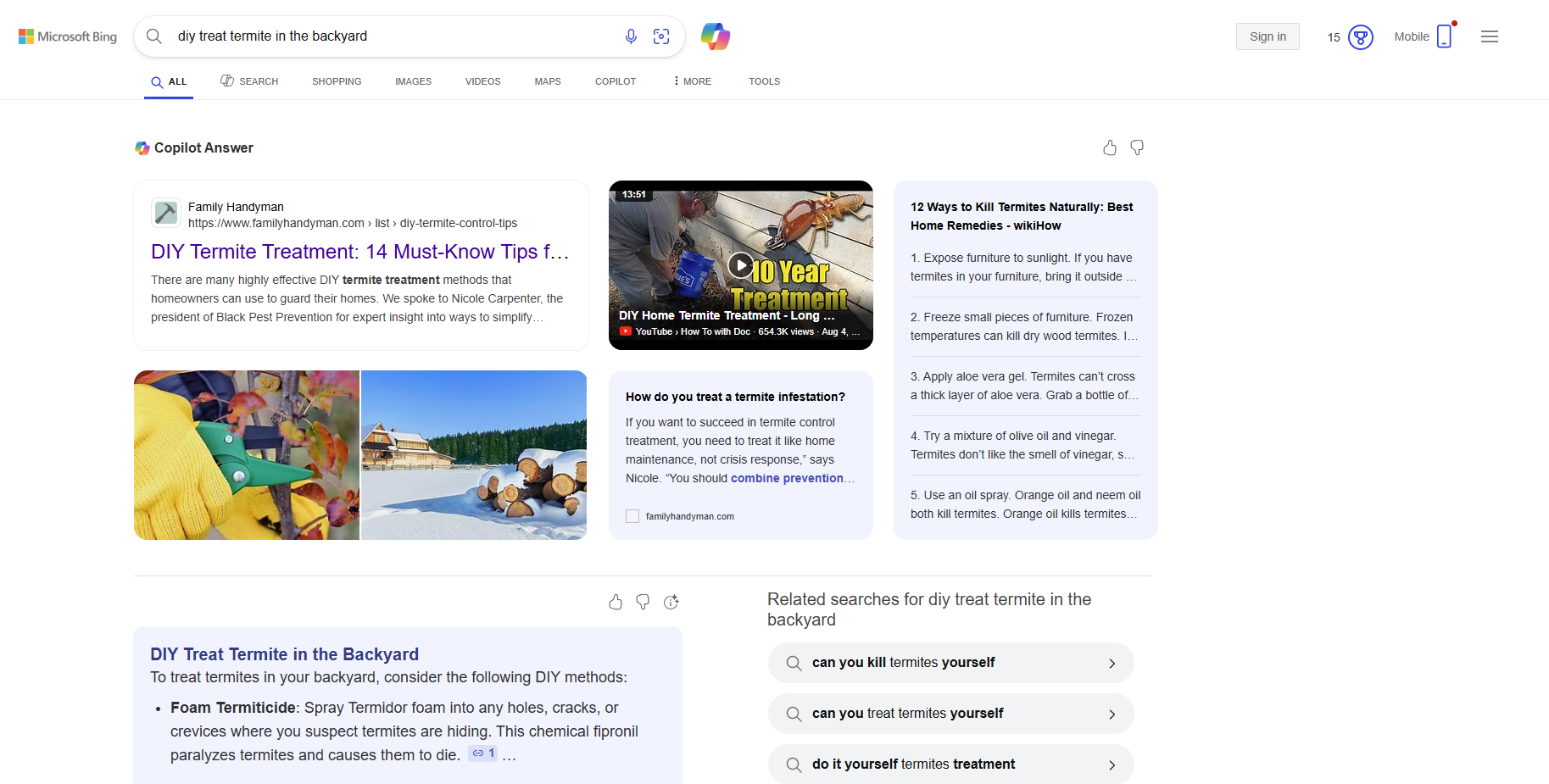 New AI Overview Features in Bing SERP API 1 bing serp api - copilot search videos images organic results