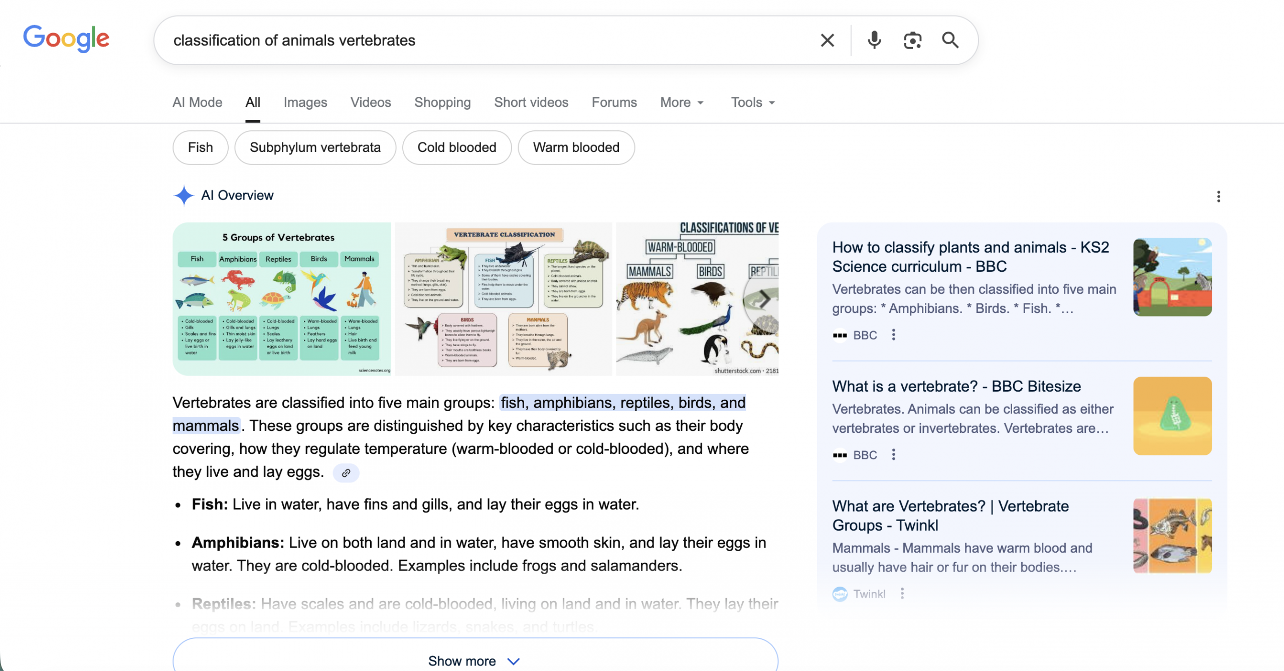 How to scrape Google AI Overviews with SERP API 1 AI Overview Example 1